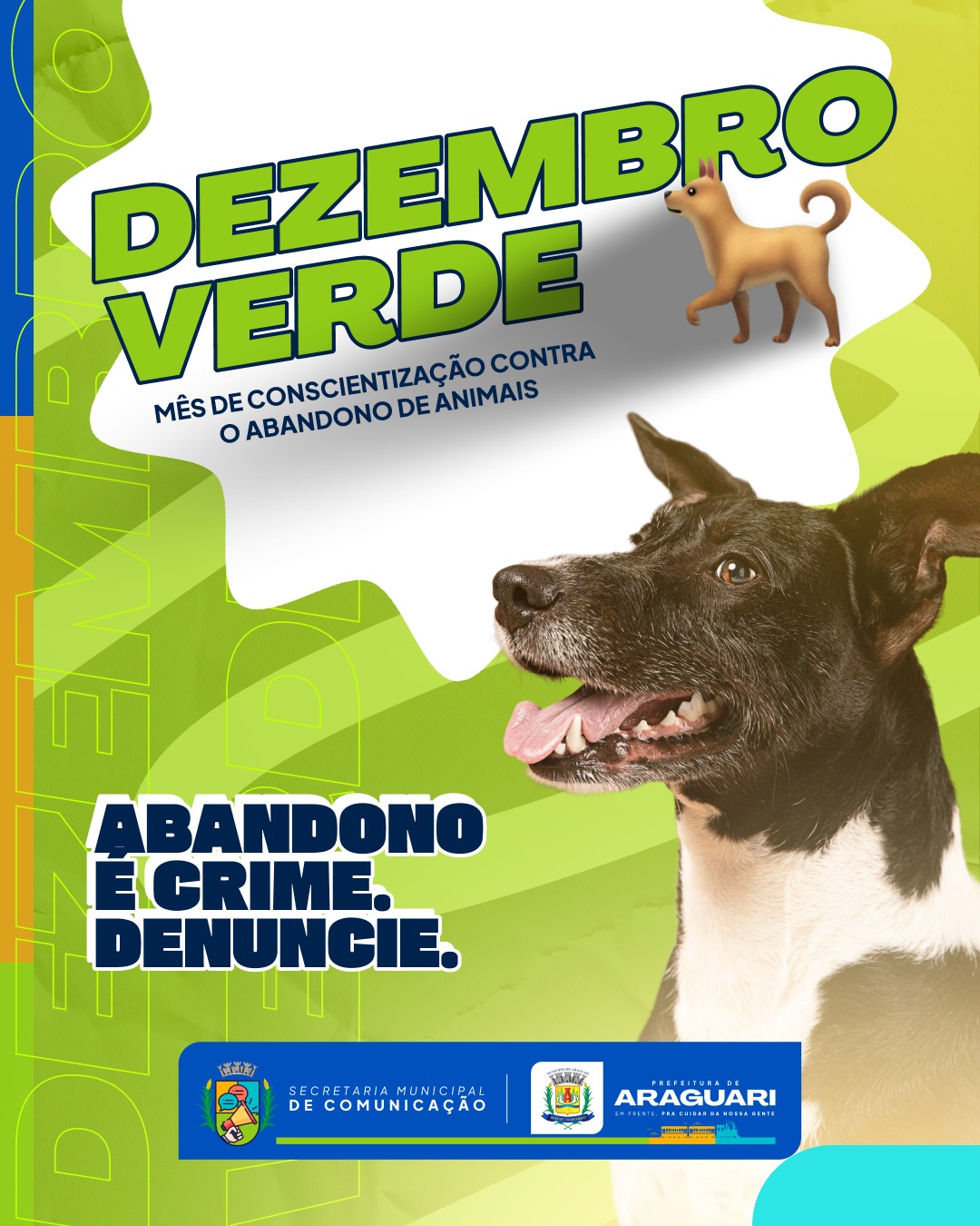 DEZEMBRO VERDE | ABANDONO É CRIME